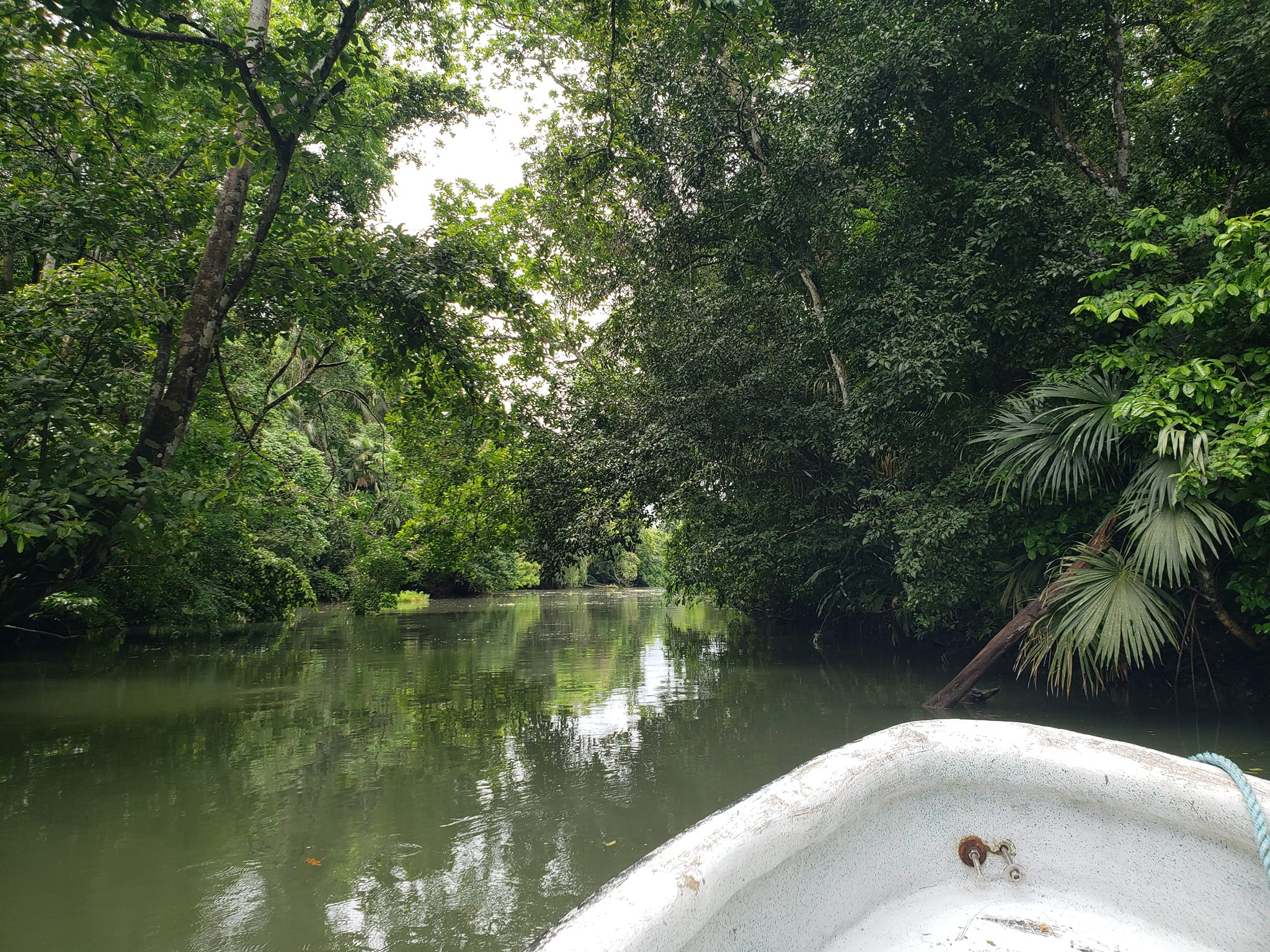 Monkey Island and Embera Village Panama Casco Viejo Monkey Island and Embera Village - Image 6