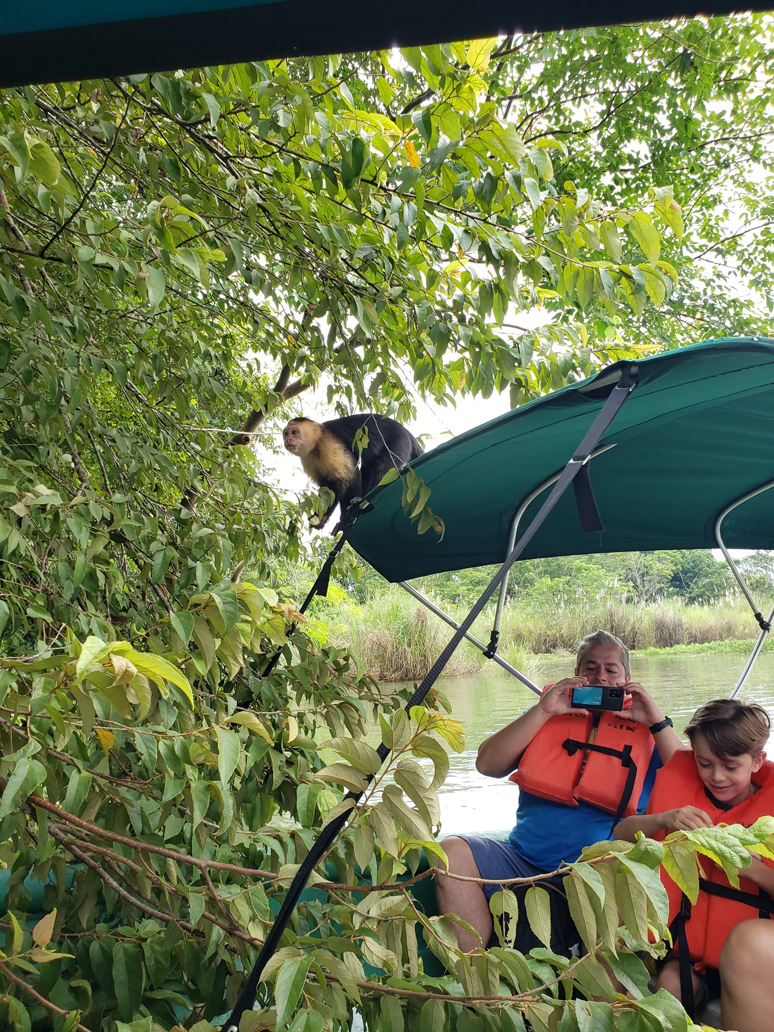 Monkey Island and Embera Village Panama Casco Viejo Monkey Island and Embera Village - Image 7