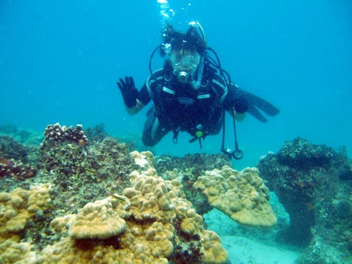 Scuba Diving Contadora Panama Casco Viejo Scuba Diving Contadora - Image 10