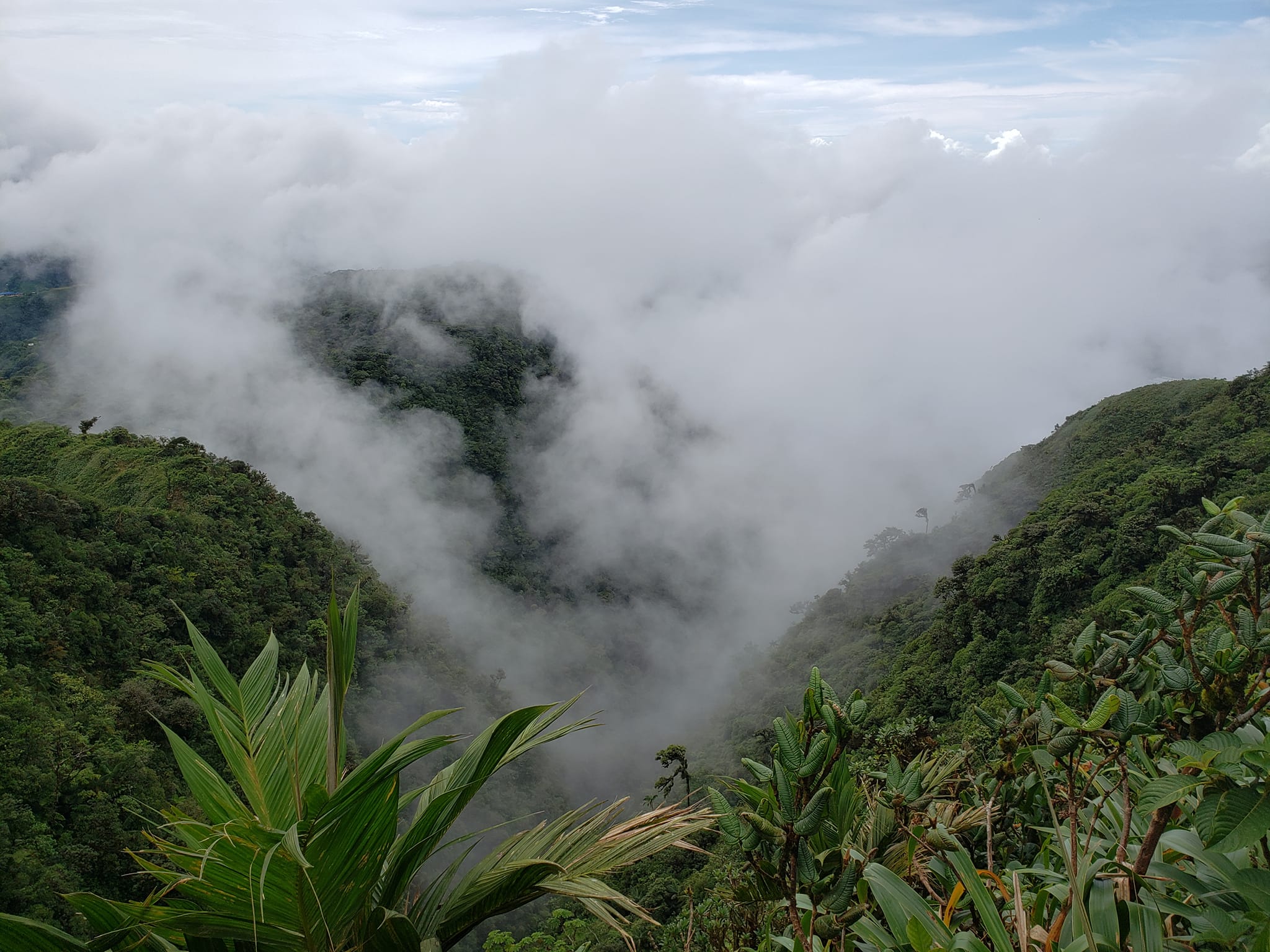 El Valle Explorer Panama Casco Viejo El Valle Explorer - Image 6
