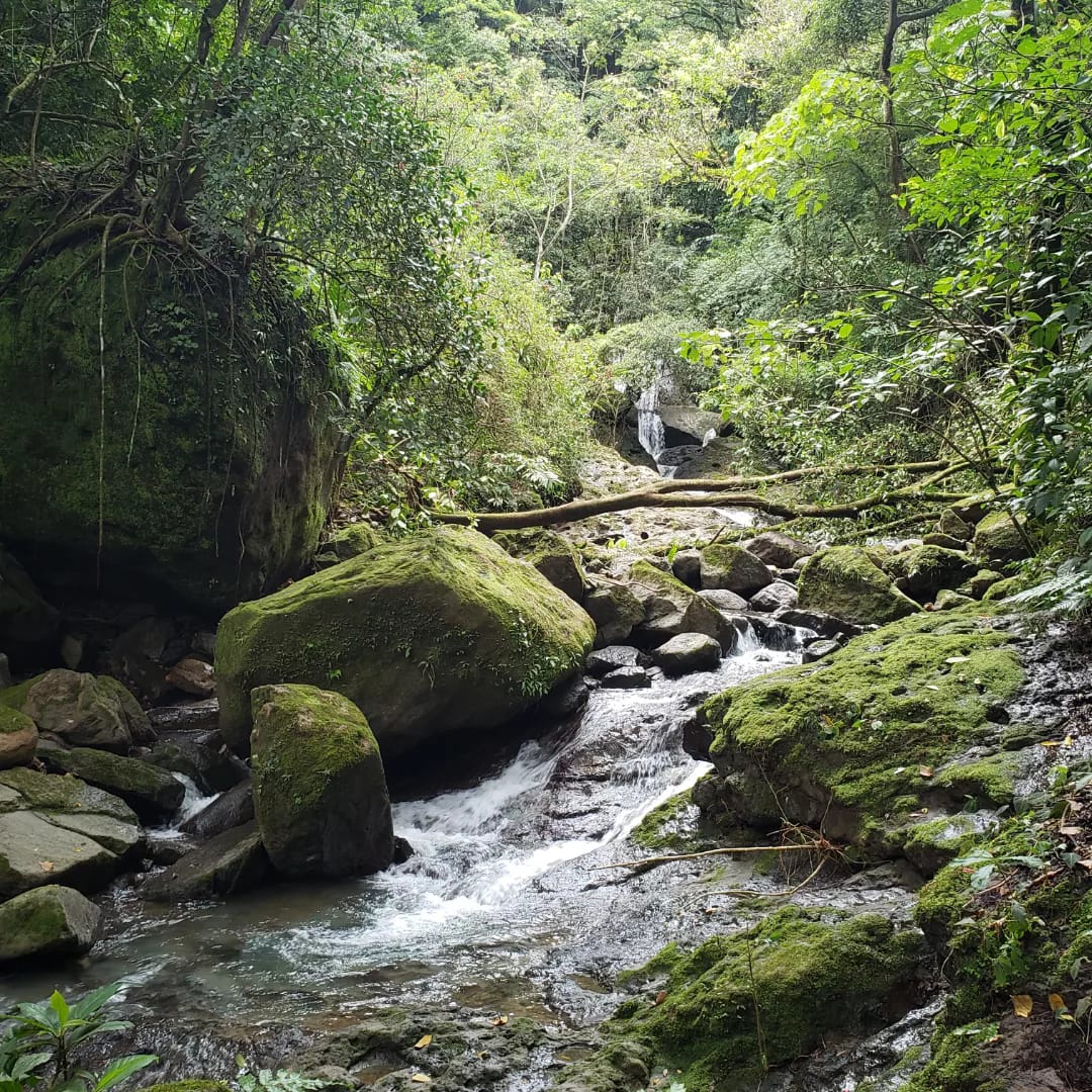 El Valle Explorer Panama Casco Viejo El Valle Explorer - Image 7