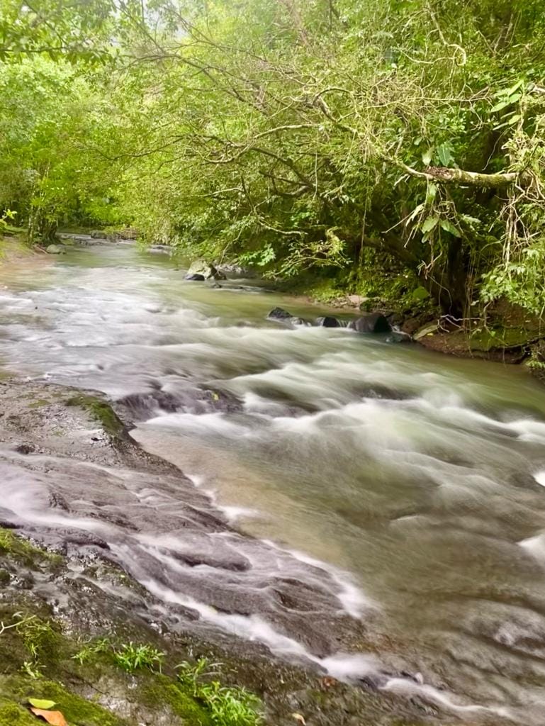 El Valle Explorer Panama Casco Viejo El Valle Explorer - Image 8
