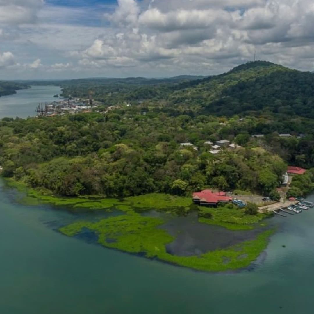 Freshwater Fishing in Lake Gatun Panama Casco Viejo Freshwater Fishing in Lake Gatun - Image 12