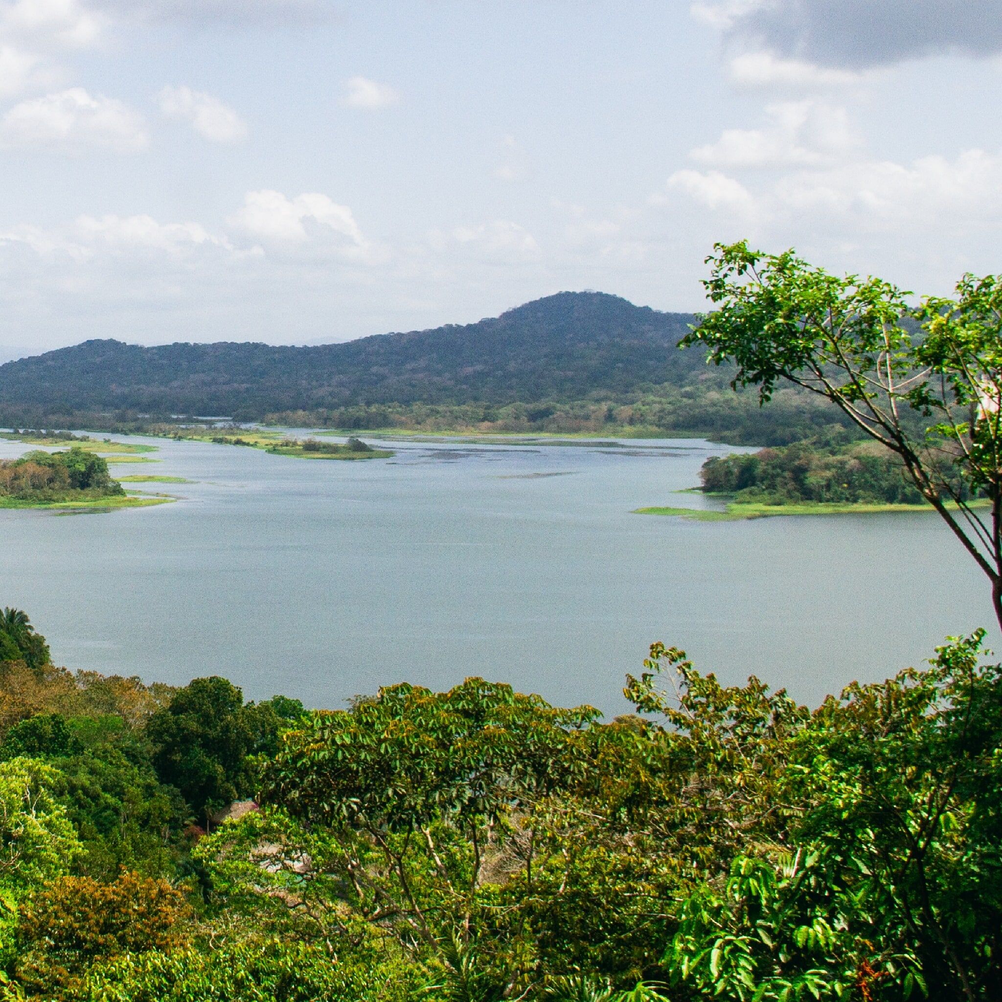 Freshwater Fishing in Lake Gatun Panama Casco Viejo Freshwater Fishing in Lake Gatun - Image 3