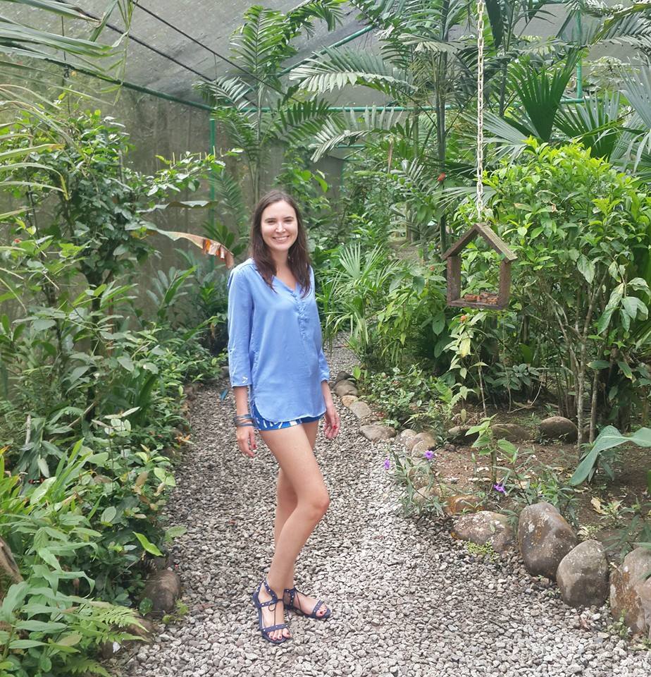 Gamboa Exhibitions: Sloth Sanctuary, Butterflies, Orchids and Frogs Panama Casco Viejo Gamboa Exhibitions: Sloth Sanctuary, Butterflies, Orchids and Frogs - Image 12