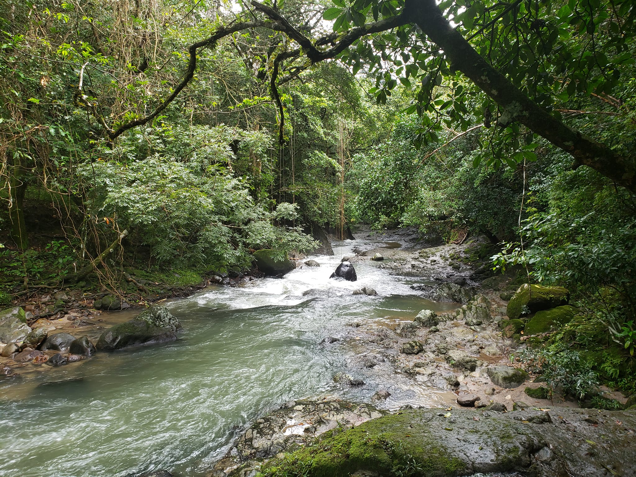 El Valle Explorer Panama Casco Viejo El Valle Explorer